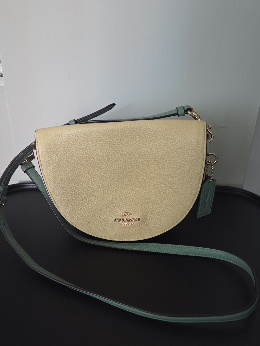 Coach Ellen Crossbody Colorblock Purse - Picture 2 of 15